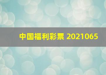 中国福利彩票 2021065